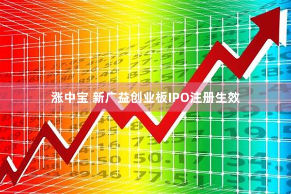 涨中宝 新广益创业板IPO注册生效